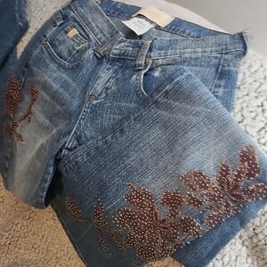 Embroidered Blue Jeans